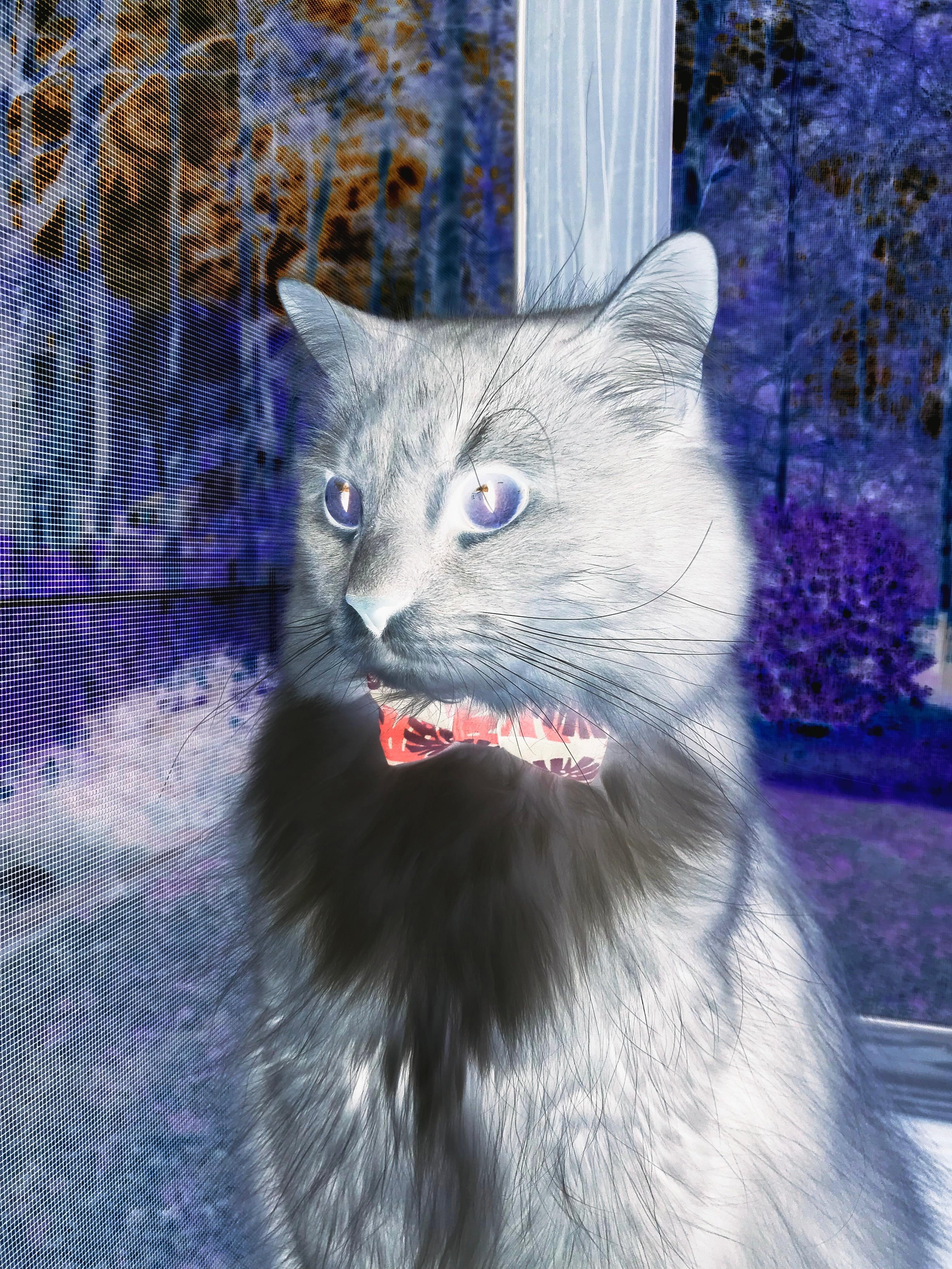 世界青少年水上漂流锦标赛在云南举行,水上漂世界纪录