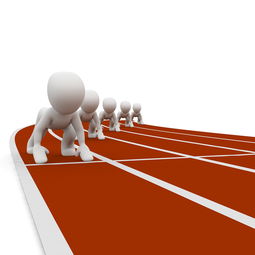 九游网游官网-中小学体育健康教育课程开发与实践，中小学体育与健康课程指导纲要