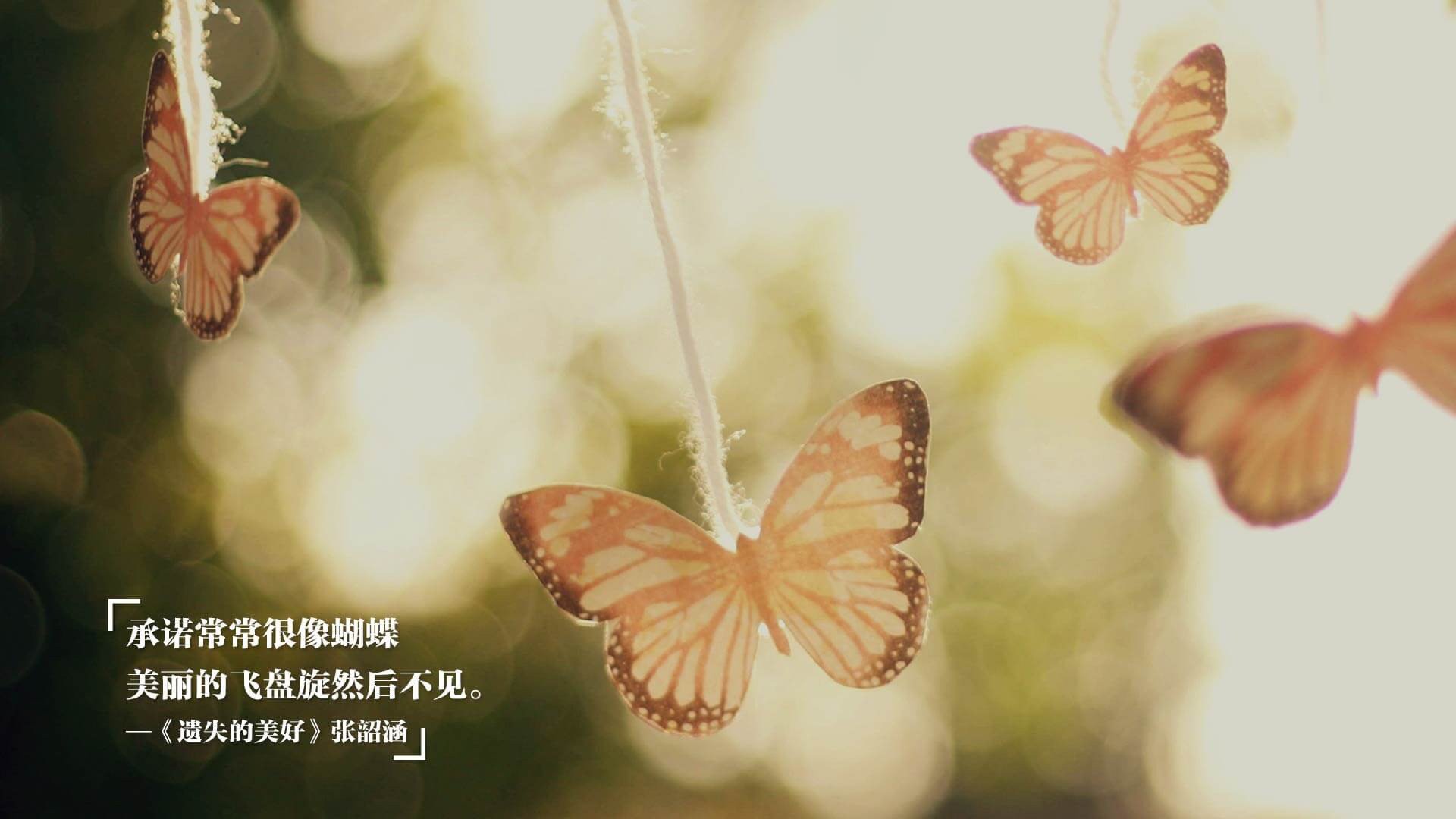 全国少年田径冠军赛新纪录不断，全国少年田径成绩公告