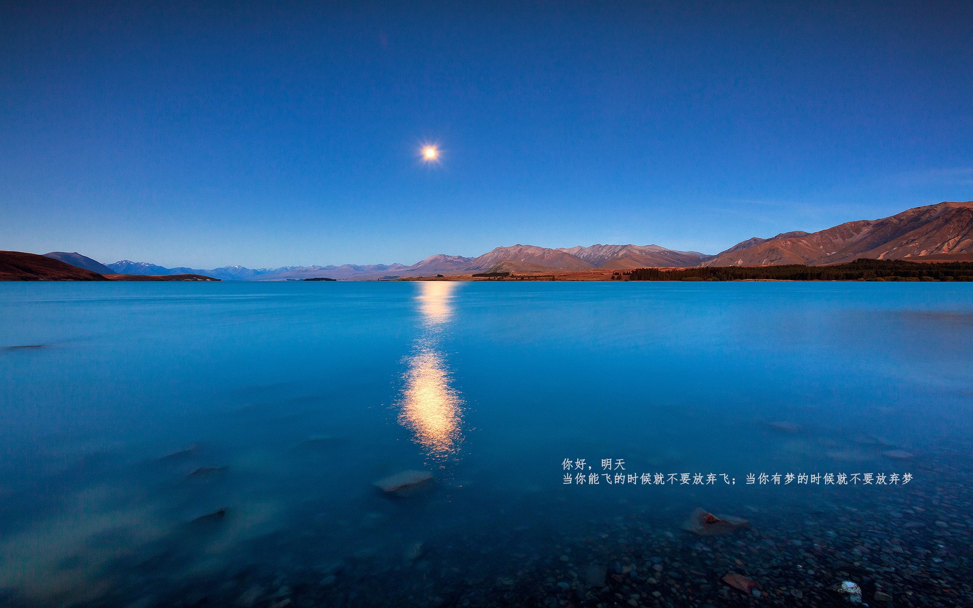 国足训练强度与伤病率关系研究，国足训练量