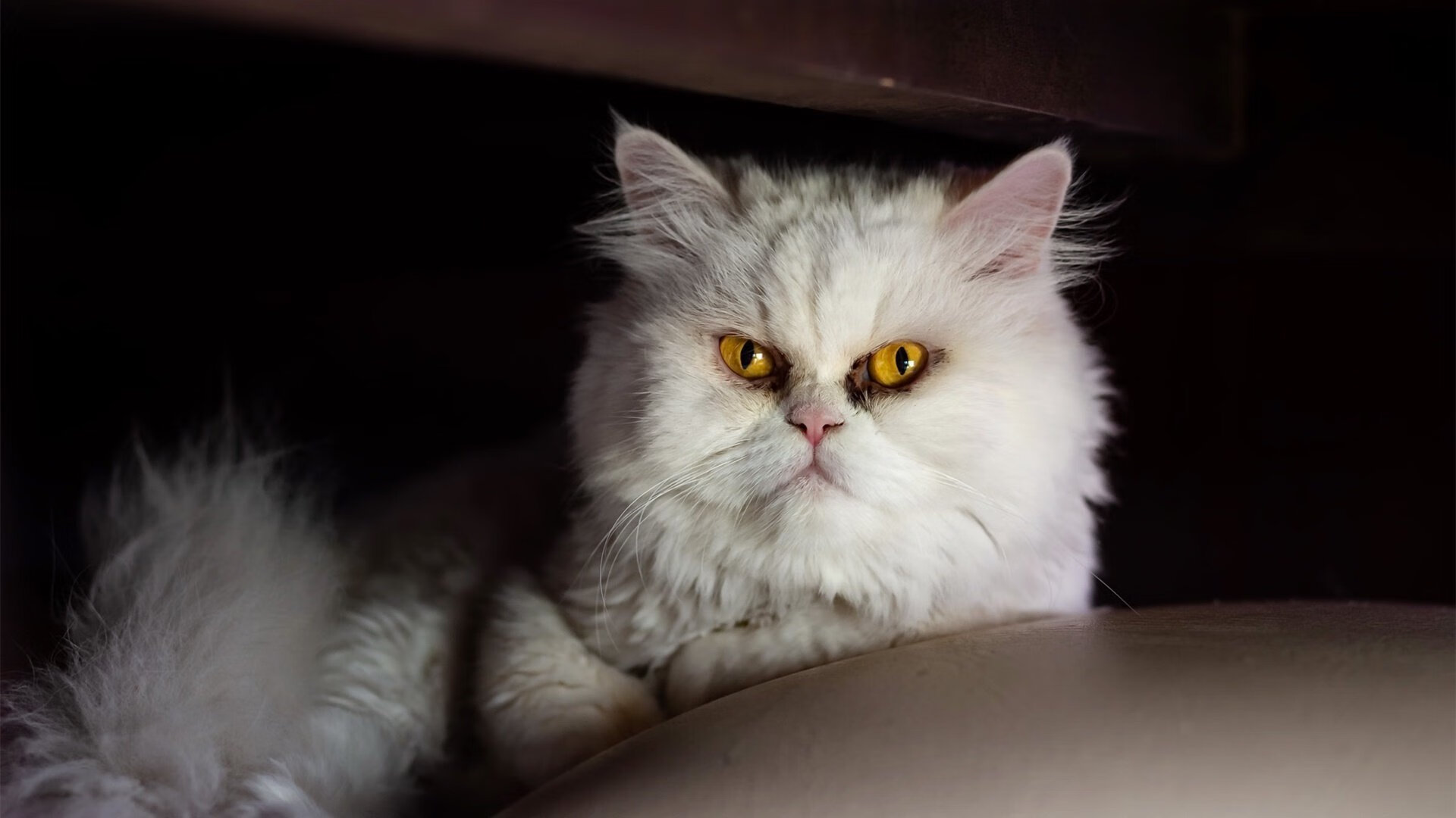 九游app下载中心-新闻中心管理体系认证通过评审，新闻中心部门