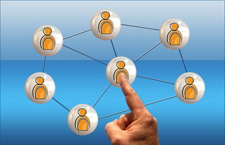 九游(jiuyou)官方网站-体育新闻中心联合高校开展体育传媒创新创业大赛，体育产业创新创业大赛