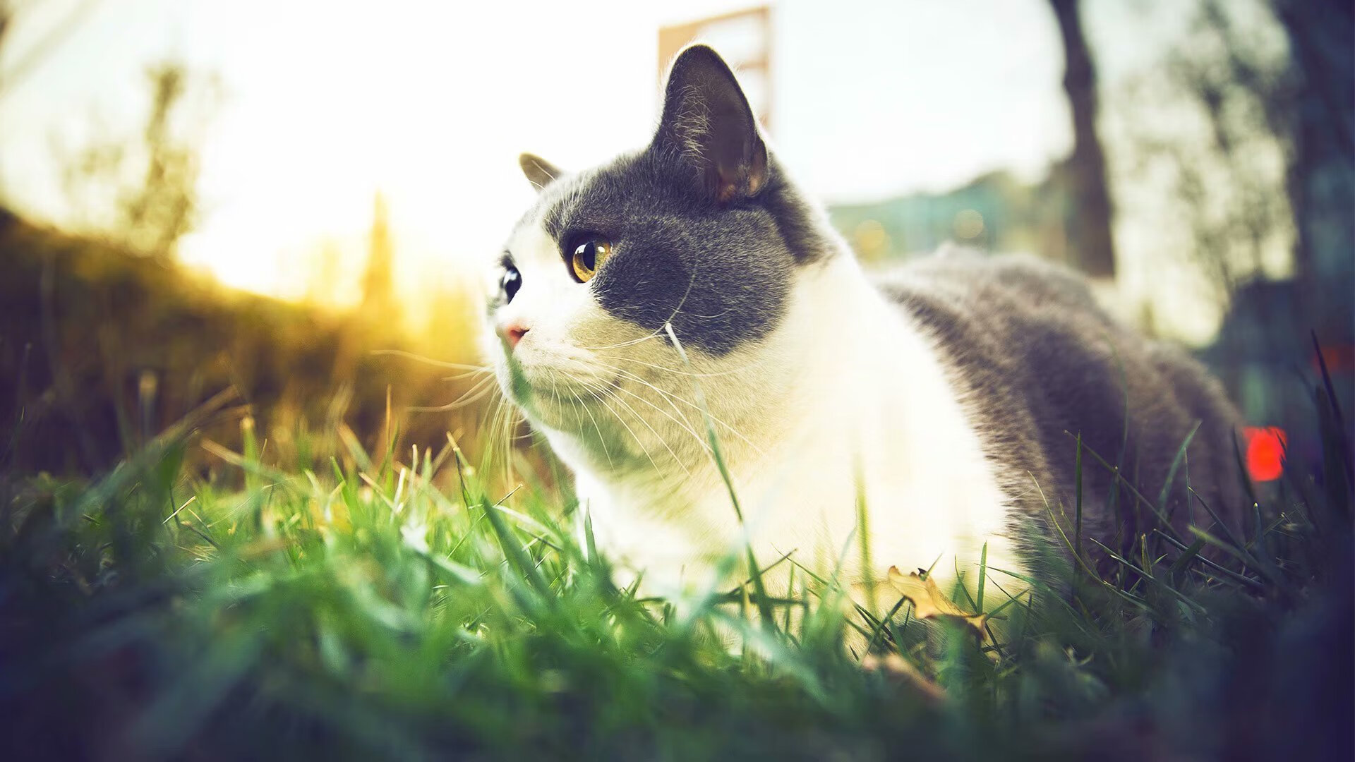 博卡门将高接低挡，避免比分扩大，博卡vs