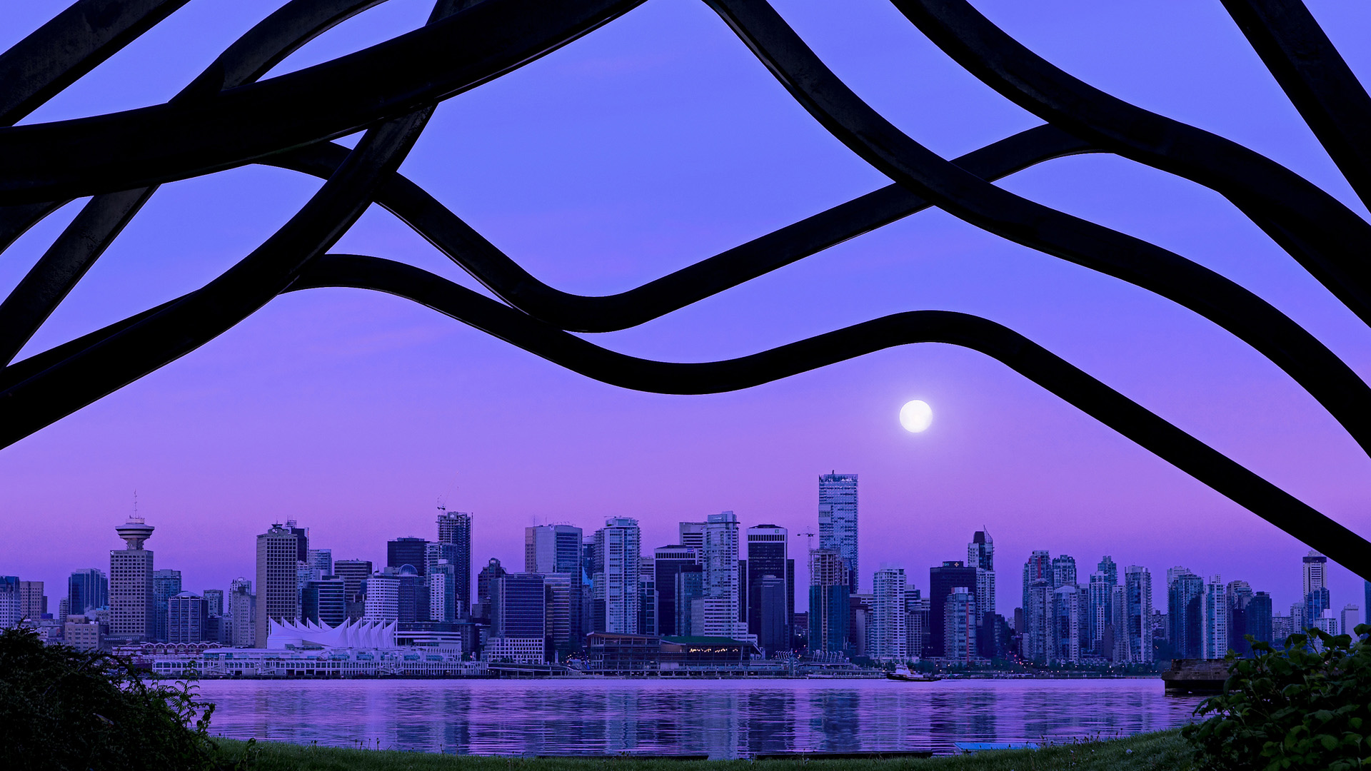 女子短距离自由泳突破新高，短距离自由泳速度提升