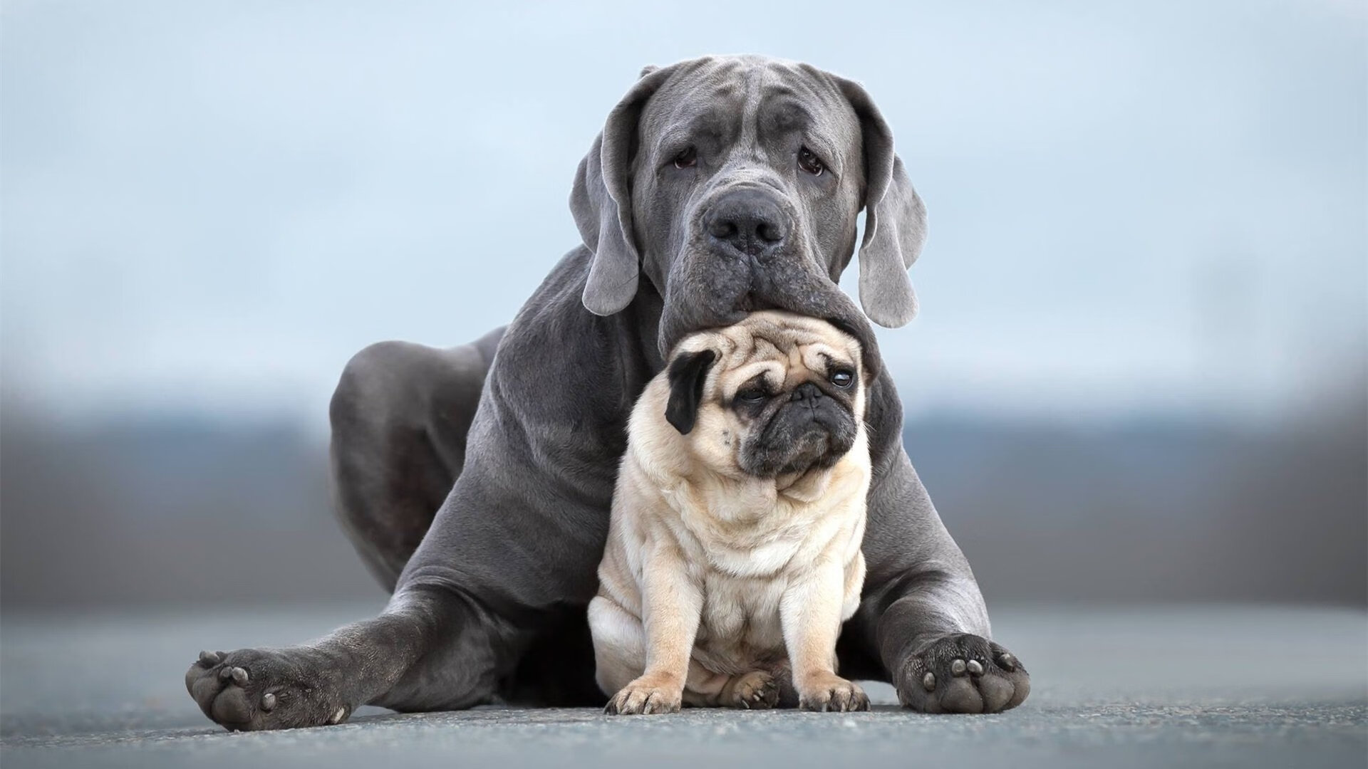 比利亚雷亚尔持续稳定压制弱旅，比利亚雷亚尔阵型