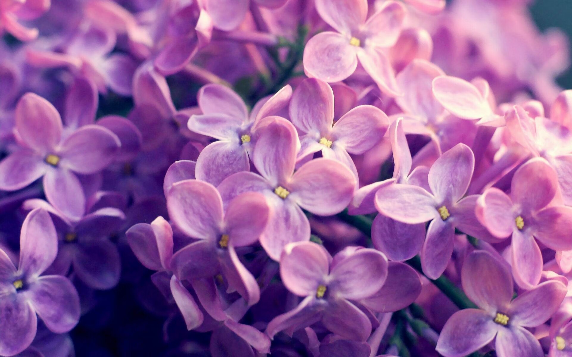 国家队公开训练日吸引万名观众，互动活动大受欢迎，国家队训练在哪