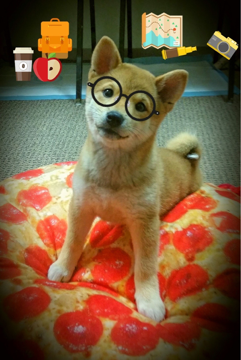 斯洛伐克女篮在欧洲锦标赛中表现出色,迈向奖牌