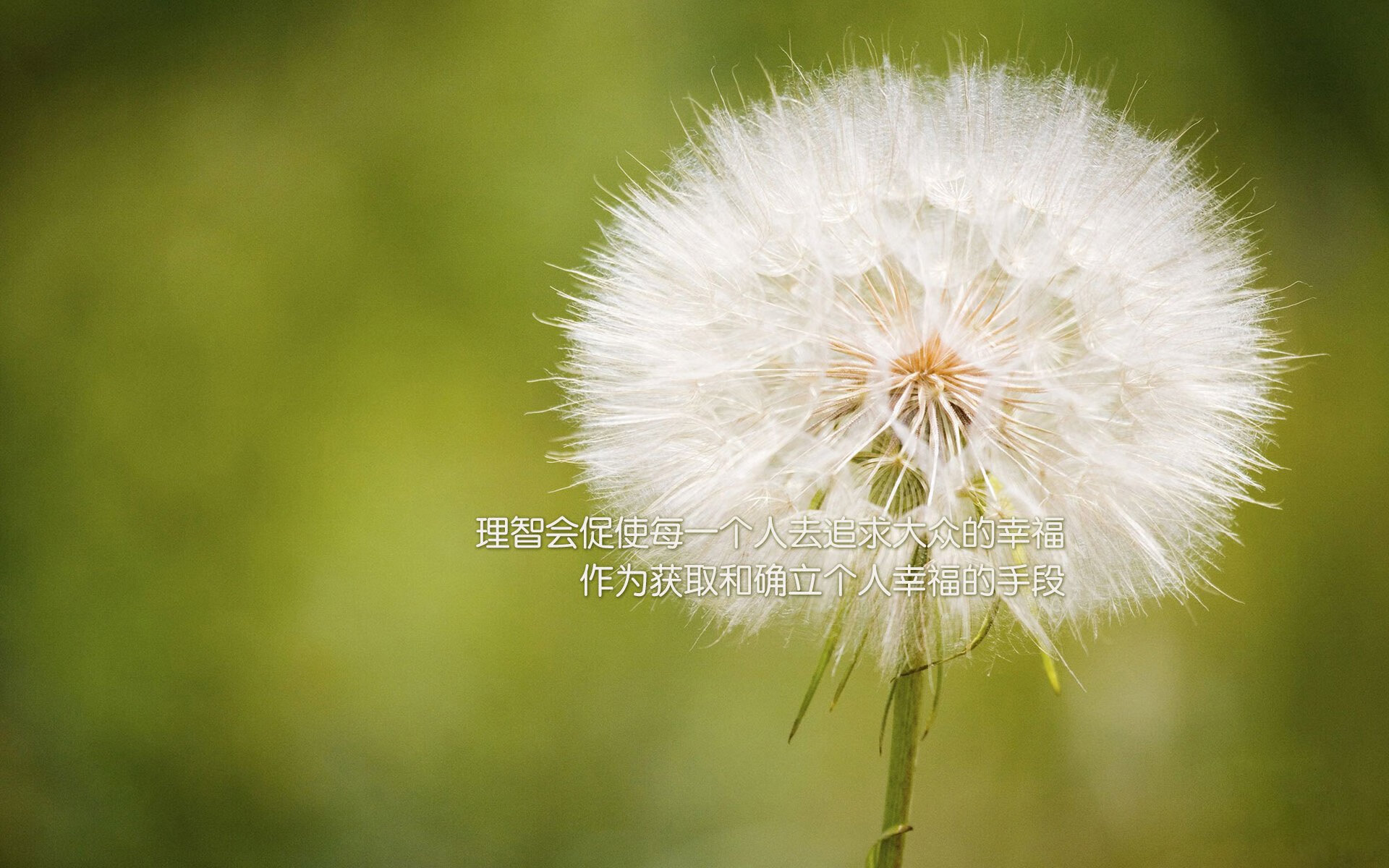 麦肯齐:凭借快速的节奏和精准的长传,他成为全黑队反击战术的核心