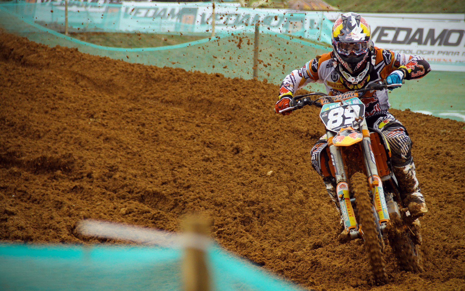 高校体育专业学生职业发展路径研究,体育类大学生职业生涯规划